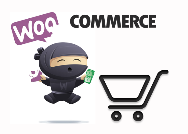 woocommerce-Wordpress-Plugin