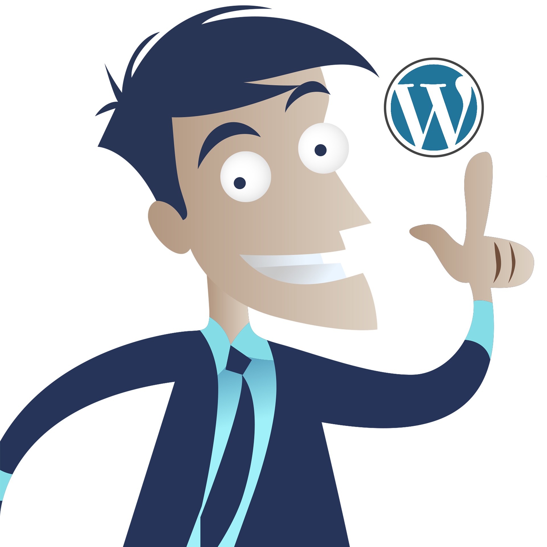 Wordpress Plugins